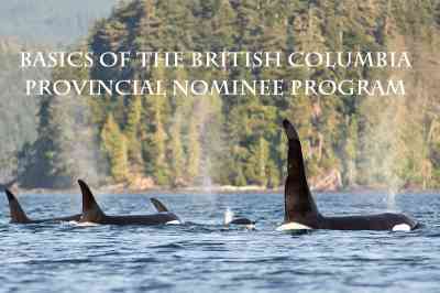 Basics of the British Columbia Provincial Nominee Program