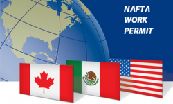 How to Apply for NAFTA Work Permit